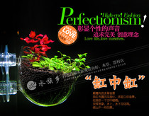Fish tank water grass landscaping aerial planting Cup creative planting pot polka crystal glass thickening special offer