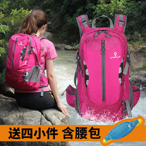 Outdoor backpack female lightweight waterproof multi-purpose travel hiking cycling sports professional mountaineering bag shoulder male 35L