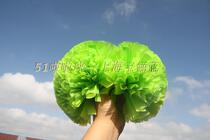 Sub-Light Fresh Green-Professional Flower Ball court-level Gymnastics Class Cheerleading competition Playball Handball Flowers