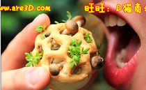 3D printing maker space Double Seven promotion 3D scanner portrait Hall joined drone food printing