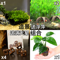 Shrimp Vat made View water Grass Water Banyan Moss Shrimp Class Dodging Breeding Shrimp Nest Composition Set To Send Water Grass Duckweed