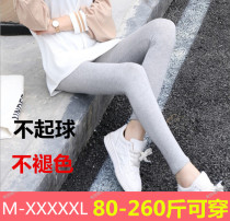 Summer modal leggings women wear thin spring and autumn 200kg plus fat plus size pants fat mm small pants