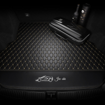 21 models BMW 5 Department 530li525lix3x5x6320li330li7 Department 730li New energy back-up box cushion