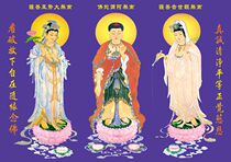 Western Sansheng double-sided plastic seal photo paper over-plastic canvas photo cloth scroll multi-size material selection customization