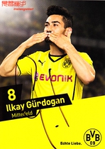 BOE Dotmunds Borussia Dortmunds 2013-14 season pro-pen signature official card