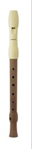 Germany HOHNERBlockfl teKidsAlegraElfenbein Childrens clarinet high-end birthday gift