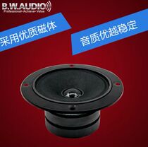 3-inch double magnetic high-quality tweeter (4 Euro speakers 8 Euro speakers optional)