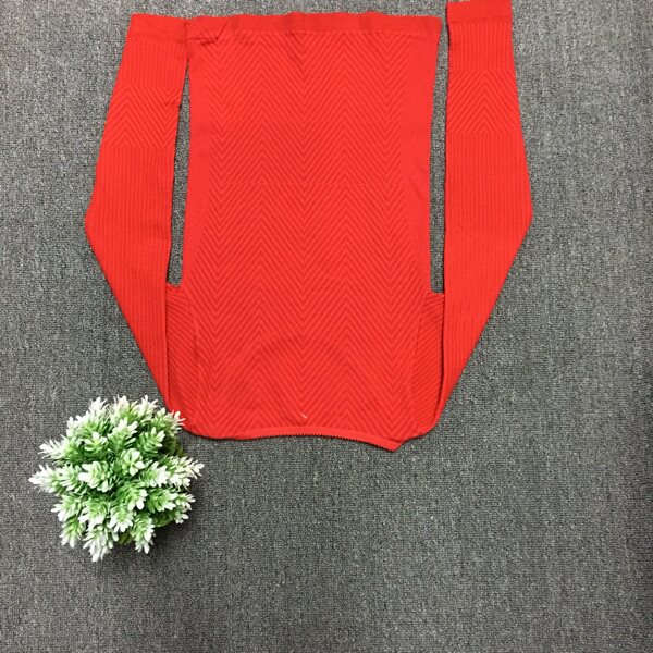 Corset amincissant HODO - Ref 699936 Image 14