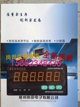 Changzhou Gangtian Electronic instrument XSD6000 series XSD6-A00B＊V 0~10V 0 1~999 9