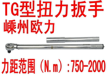 Shengzhou TG type preset torque wrench TG750-2000N m torque tester dynamometer TG2000