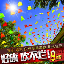Wedding Outdoor Wedding Celebration Kindergarten Open Custom Small Red Flag Color Flag Triangle Strings Flag Hand Rocking Flag Decoration Wholesale