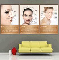 Facial plastic surgery three courts five eyes frameless painting medical beauty decoration painting beauty poster hanging painting micro whole wall painting mural