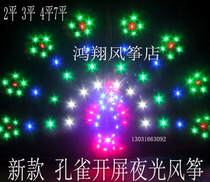 New Wang Zi luminous kite new Peacock open screen luminous kite full set