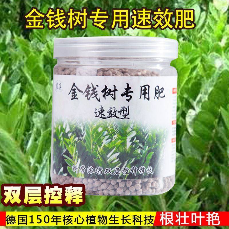 Money Tree Happiness Tree Special Nutrient Solution Fertilizer Nutrient Solution Fertilizer Nutrient Fertilizer Organic Quick Quick Fattening Fertilizer