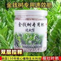 Money Tree Happiness Tree Special Nutrient Solution Fertilizer Nutrient Solution Fertilizer Nutrient Fertilizer Organic Quick Quick Fattening Fertilizer