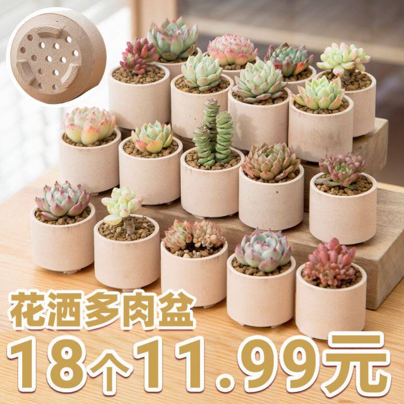 Flower pot with pot ceramic breathable wheat pot pot poultry meat pot pot pot pot