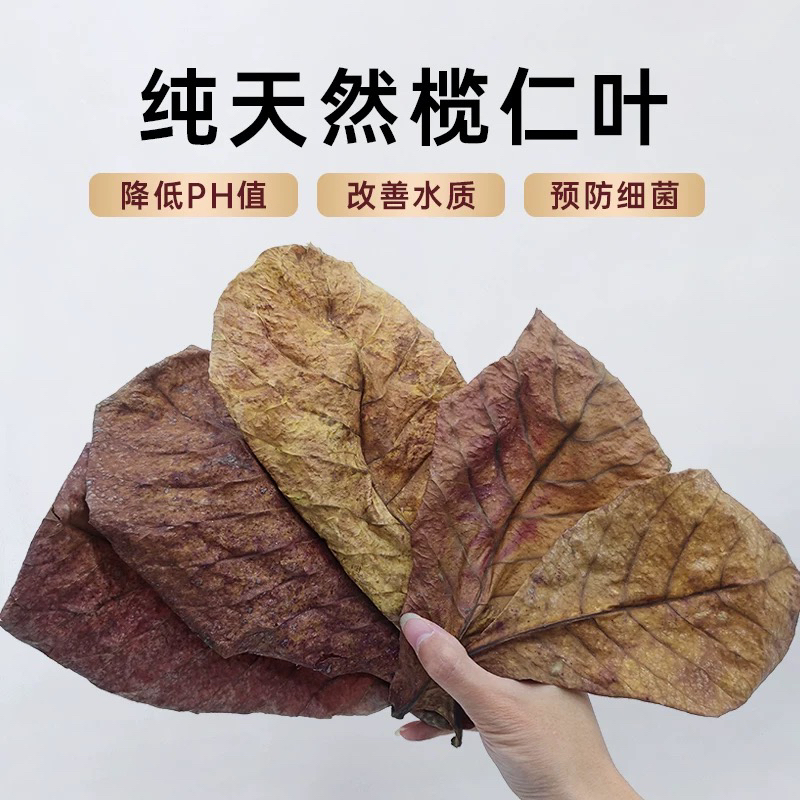 No-Cook Olive Leaf for Betta Fish, Lazy Leaf Fish Tank Ph Reducer, Aquarium Liquid Turtle Olive Leaf Tea Bag No-Cook Olive Leaf for Betta Fish, Lazy Leaf Fish Tank Ph Reducer, Aquarium Liquid Turtle Olive Leaf Tea Bag