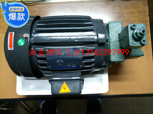 Hydraulic System Oil Pressure Motor Pumps Group Oil Pump Unit 5HP Motor VP30 VP40 Oil Pump