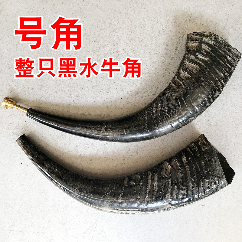 Horn Natural Buffalo Horn Pure Handmade Big Trumpeter Trumpet Performance Props National Decorator Horn Craft Gift Hem Accessories