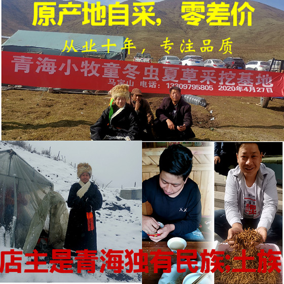 Qinghai Qilian genuine first-payment non-Tibet Naqu Yushu fresh cordyceps non-broken grass origin gift box