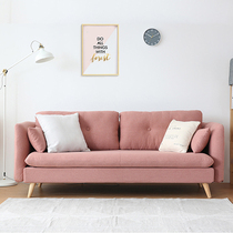 Nordic Bart sofa Small family type Removable Wash Net Red style minimalist modern Living room Whole Dress Double Rental Small Sofa