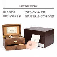 30 звуковой двойной слой [поэзия птиц]