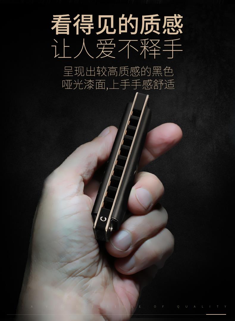 Cao cấp dành cho người lớn mới bắt đầu 10c nhạc cụ trẻ em tiên tiến mười lỗ blues hòa tấu hòa tấu - Nhạc cụ phương Tây đàn guitar