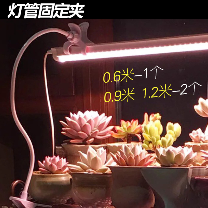 Plant Light Succulent Supplementary Light Tube Fixing Clip Plant Growth Light Fixed Light Clip Lazy Multi-Functional Bracket