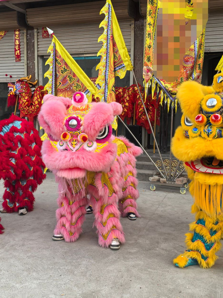 Awakening Lion Dance, Southern Lion, Foshan Awakening Lion, Guangdong Lion Dance, Awakening Lion, Southern Lion, Australian Bamboo Wool Lion, Qingcheng Feihong