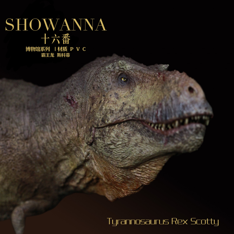 Sixteen-Foot Tyrannosaurus Rex Scotty Dinosaur Fossil Restoration Jurassic Simulation Collectible Model Toy for Boys Sixteen-Foot Tyrannosaurus Rex Scotty Dinosaur Fossil Restoration Jurassic Simulation Collectible Model Toy for Boys