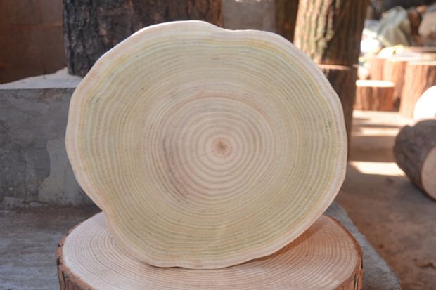 Nguyên sinh thái gỗ sồi khối gỗ rắn trụ cây khắc gốc phân tự nhiên gốc cây khắc lớn tấm cơ sở rắn gỗ gốc khắc - Các món ăn khao khát gốc bàn ghế gốc cây gõ đỏ