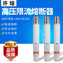 XRNT1-24KV 5A8A116A0A20A25A31 5A40A High voltage current limiting fuse 51*510