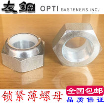 Blue White Zinc Meetto Nylon Locking Nut Fine Tooth Slim 1-3 4-12 1 75UNF 2-12 1-1 2