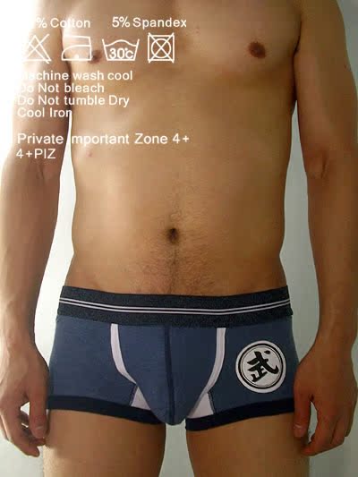 4 + PIZ những người yêu thích đồ lót sexy nam boxer của phụ nữ tam giác bông thấp eo sexy kung fu võ thuật thoáng khí