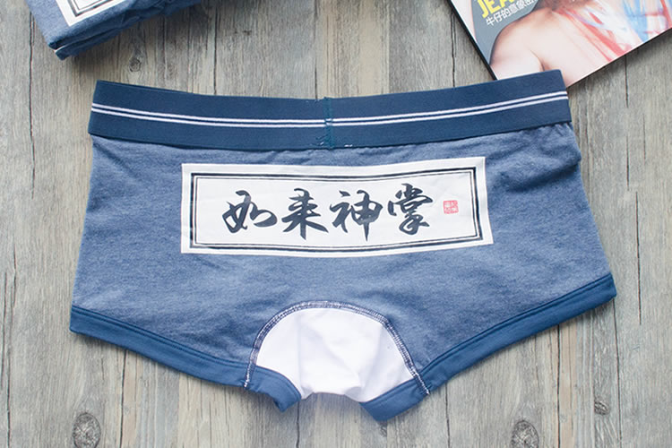 4 + PIZ những người yêu thích đồ lót sexy nam boxer của phụ nữ tam giác bông thấp eo sexy kung fu võ thuật thoáng khí