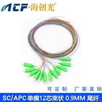 SC APC 9 125um single mode 12-core G657A2 color LSZH fiber pigtail line 1 2M clearance for sale