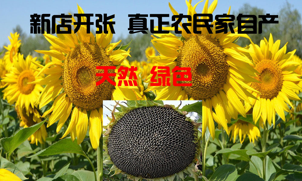 老磕葵三道眉杂粮坊的LOGO