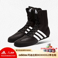Daolang Adidas Box Hog2 Boxing Shoes Original Authentic Fighting Sanda FX0561
