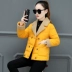 Áo lót cotton nữ nhỏ xuống đoạn ngắn 2018 mùa đông size lớn Phiên bản hàn quốc thời trang áo thun cotton mỏng thấm nước áo khoác nữ đẹp Bông