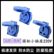 National standard five-hole European multi-function 3three 5 holes hidden blue small socket waterproof 10A16A220V electric box