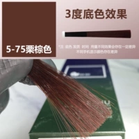 【5-75】Каштановый коричневый