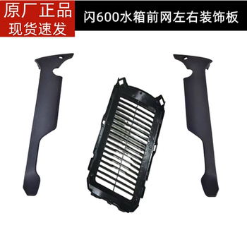 Qj600-12b qianjiang flash 600 water tank left and right guards water tank front guard decorative plate water tank guard net guard plate
