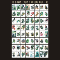 Zeng Xiaolian Meticulous Painting Birds Birdsong Painting Works Peacock Mandarin Duck Postcards Set of 64