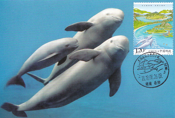 2018 Yangtze River Economic Belt Yangtze River Finless Porpoise First Day Homemade Limit Postcard