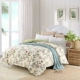 Chăn bông đơn mảnh 1,5 m sinh viên ký túc xá chăn bông 1,8m giường đôi 200x230 - Quilt Covers chăn ga gối đệm màu hồng