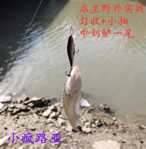 Little Crazy Lujah Mini Silver Small Knife Unique Fly Far System 6cm 4 5g Submerged Mino Teething Sea Bass