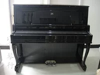 Đàn piano ngọc trai CT-131 Piano piano dien