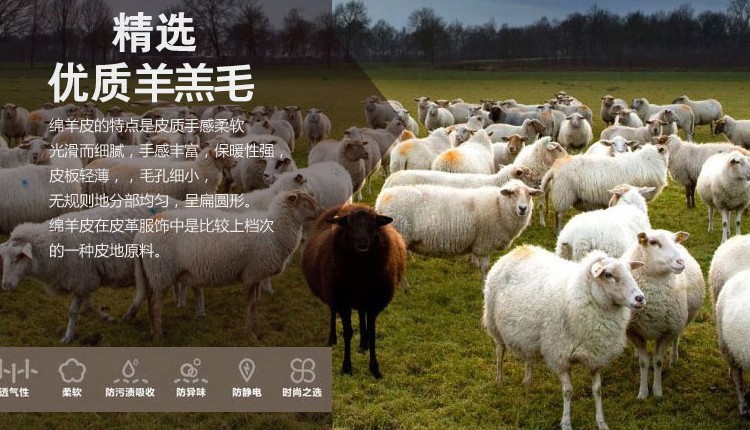 Chống mùa giải phóng mặt bằng mới Haining cừu cắt áo lông thú trong phần dài fox fur lamb coat coat của phụ nữ trùm đầu ao long