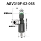 ASV310F-02-06S