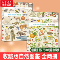 (Xinhua Wenxuan) Two volumes of natural illustrated books for children Plants and Animals showing the life forms of more than 700 species of animals and plants. Popular science books for children aged 6-10-12 years old primary and secondary school students’ extracurricular activities
